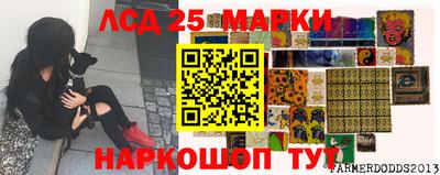 не бодяженный Гай