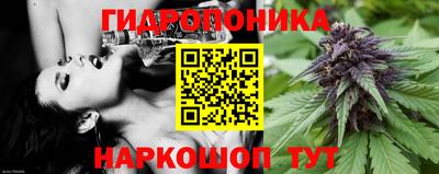кокаин Гатчина