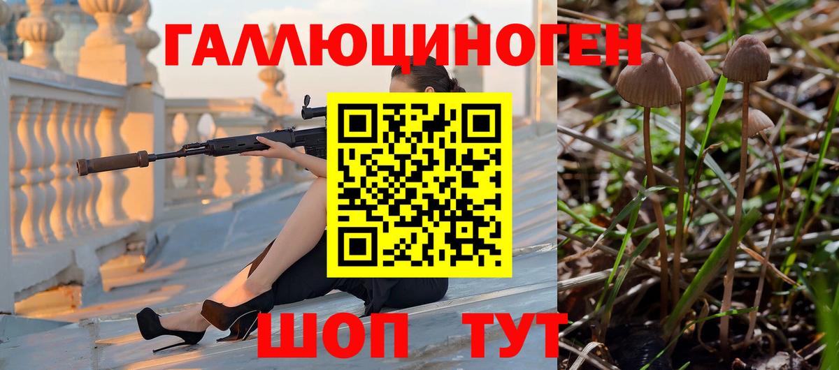 Галлюциногенные грибы мухоморы Борзя
