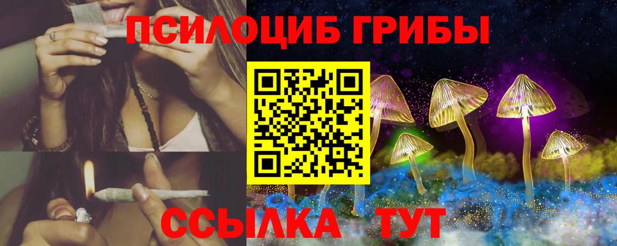 Псилоцибиновые грибы MAGIC MUSHROOMS  Вход с VPN  Борзя  Псилоцибиновые грибы MAGIC MUSHROOMS 