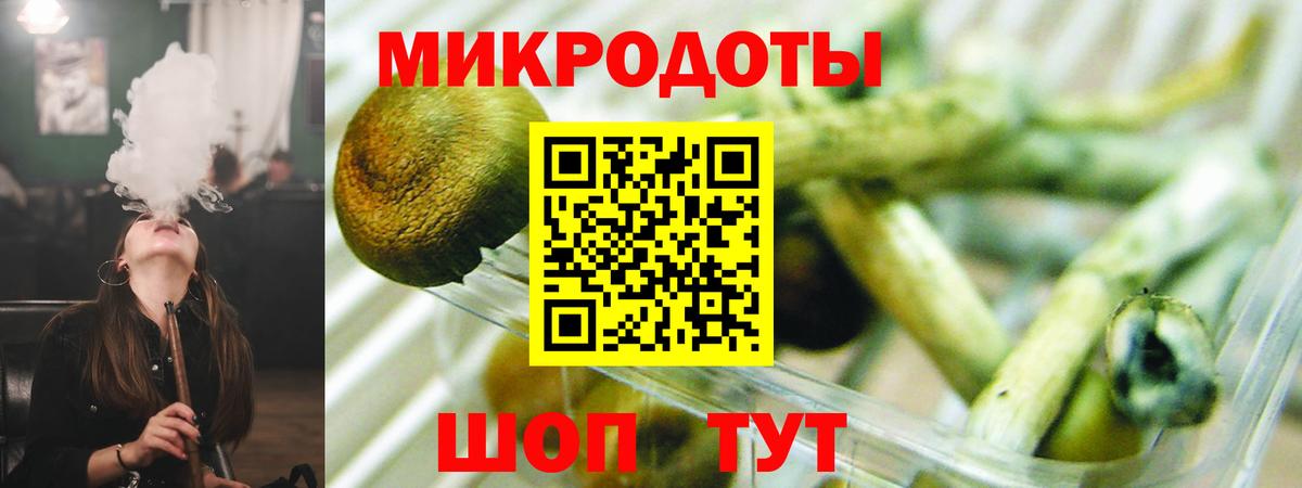 ГАШ Борзя