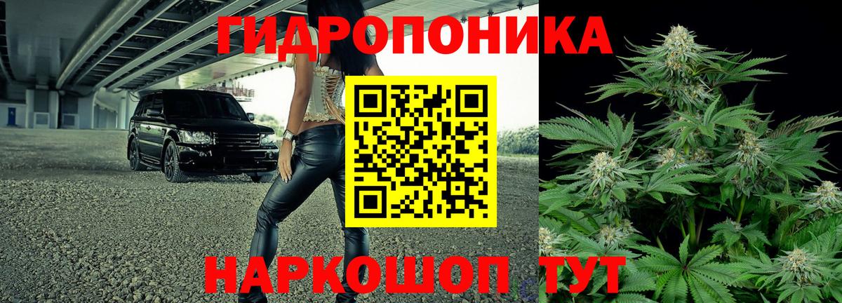 Бошки Шишки сатива Борзя